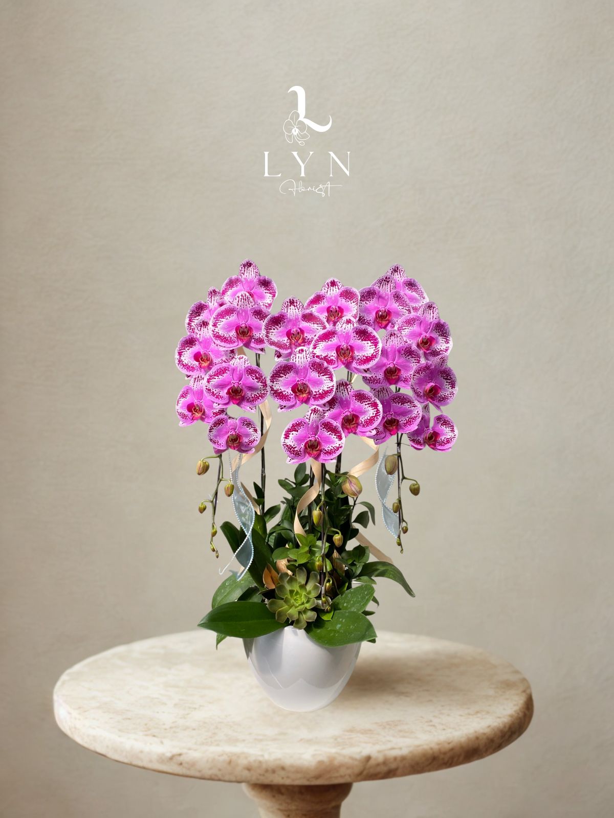 Chậu Hoa Lan Tím Đột Biến